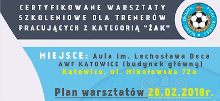 certyfikowane warsztaty dla trenerów pracujących w kategorii &quot;żak&quot;